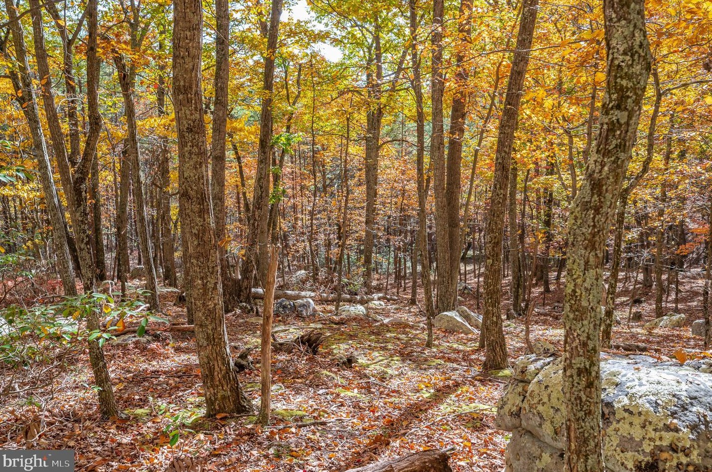 1002 Butternut Dr, Yellow Spring WV  26865-9042 exterior