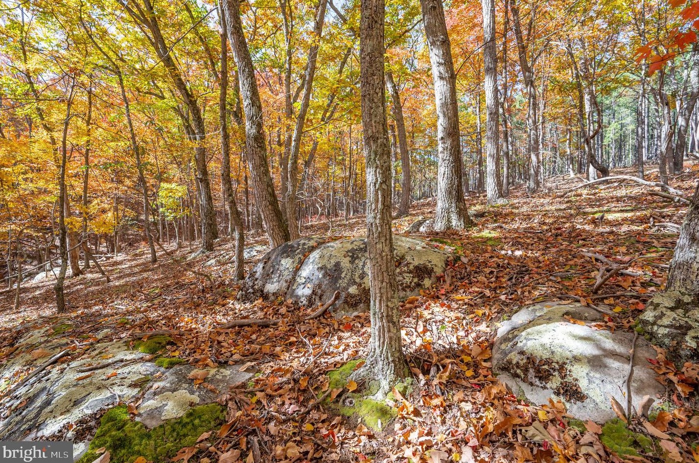 1002 Butternut Dr, Yellow Spring WV  26865-9042 exterior