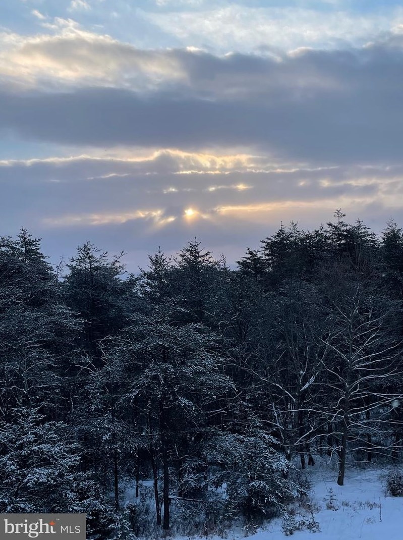 1002 Butternut Dr, Yellow Spring WV  26865-9042 exterior