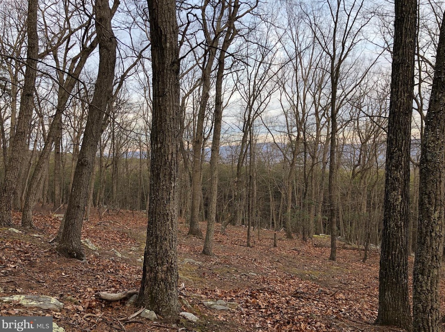 1002 Butternut Dr, Yellow Spring WV  26865-9042 exterior