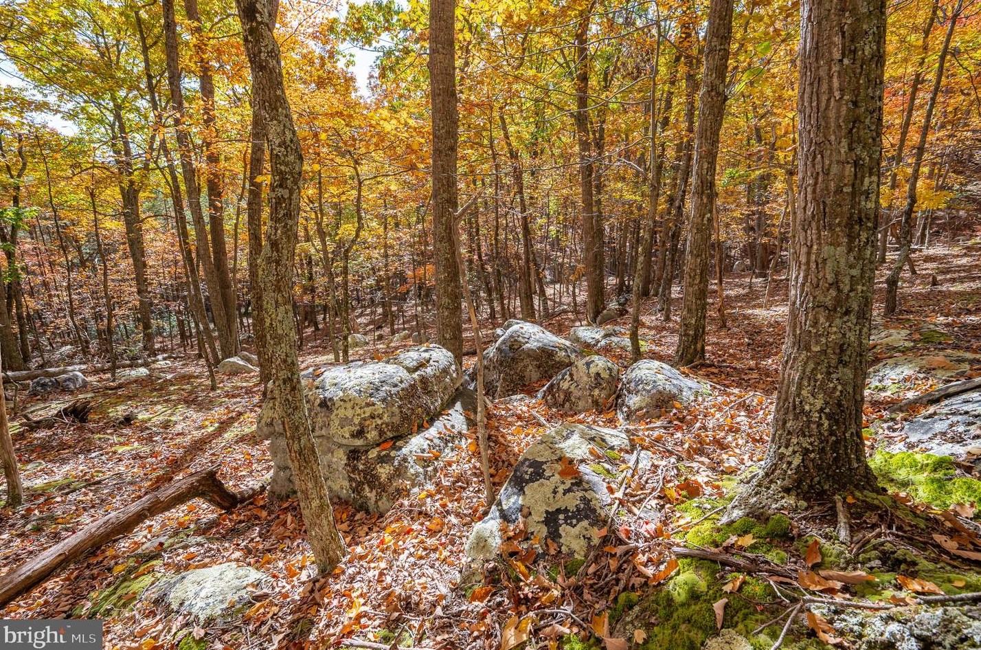 1002 Butternut Dr, Yellow Spring WV  26865-9042 exterior