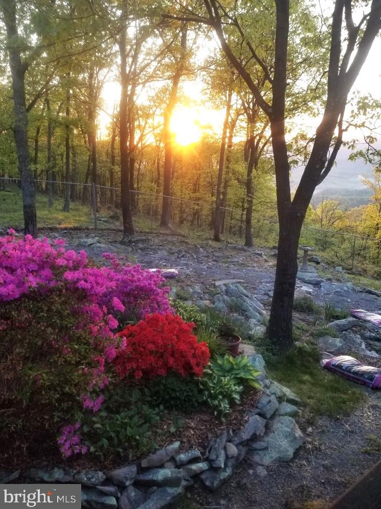 937 Sparrow Hill Rd, Paw Paw, WV 25434