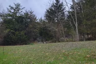 19712 Northwestern Pike, Shanks, WV 26761 - Photo 8