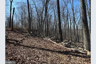 2.08 Acres Deer Path Road, Augusta, WV 26704 - Photo 14