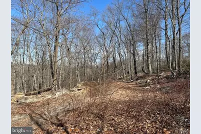2.08 Acres Deer Path Road, Augusta, WV 26704 - Photo 6