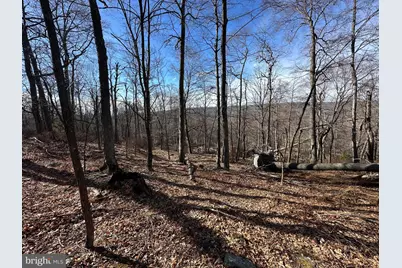 84 Peaks View Drive, Yellow Spring, WV 26865 - Photo 24