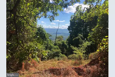 84 Peaks View Drive, Yellow Spring, WV 26865 - Photo 50