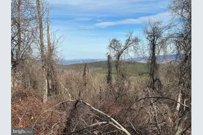 84 Peaks View Drive, Yellow Spring, WV 26865 - Photo 4