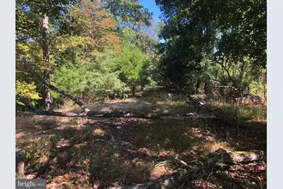 84 Peaks View Drive, Yellow Spring, WV 26865 - Photo 48