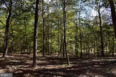 Lot 5 Private Ranch Road, Romney, WV 26757 - Photo 6