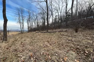 Tbd Hummingbird Ln Ln, Capon Bridge, WV 26711 - Photo 1