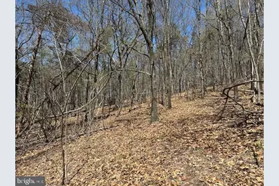 Lot 28 Pear Lane, Romney, WV 26757 - Photo 8