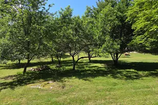 65 Cary Ct, Capon Bridge, WV 26711 - Photo 62