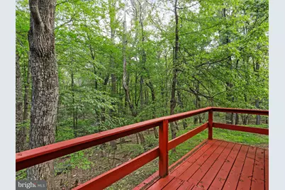 153 Bear Track Road, Augusta, WV 26704 - Photo 28