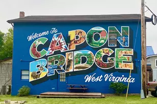 3815 Capon River Rd, Capon Bridge, WV 26711 - Photo 2