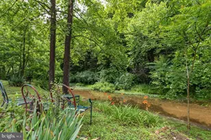 28800 Northwestern Pike, Romney, WV 26757 - Photo 54
