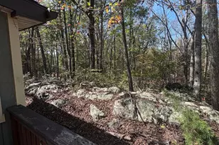 979 Ritter Dr, Capon Bridge, WV 26711 - Photo 16
