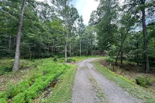 853 Janes Way, High View, WV 26808 - Photo 28