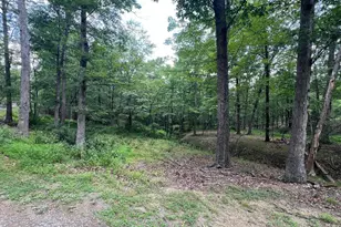 853 Janes Way, High View, WV 26808 - Photo 30