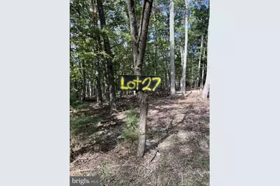 853 Janes Way, High View, WV 26808 - Photo 32