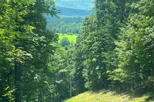 313 Wright Rdg, Rio, WV 26755 - Photo 86