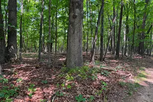 313 Wright Rdg, Rio, WV 26755 - Photo 70