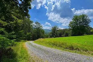 313 Wright Rdg, Rio, WV 26755 - Photo 74