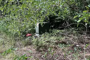 624 Mountain Lion Ln, Augusta, WV 26704 - Photo 32