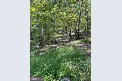 624 Mountain Lion Lane, Augusta, WV 26704 - Photo 8