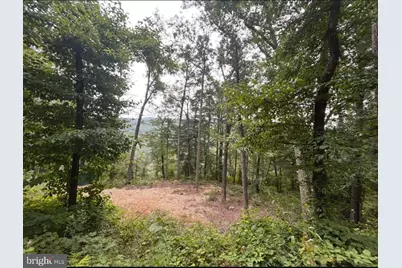 444 Nugget Drive, Capon Bridge, WV 26711 - Photo 20