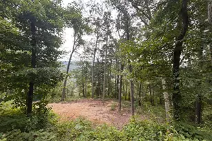 444 Nugget Dr, Capon Bridge, WV 26711 - Photo 20