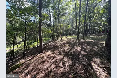 634 Island Ridge Road, Purgitsville, WV 26852 - Photo 28