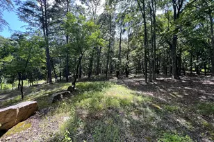 634 Island Ridge Rd, Purgitsville, WV 26852 - Photo 2