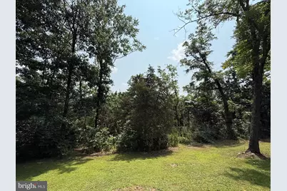 Lot 67 Feller Drive, Levels, WV 25431 - Photo 4