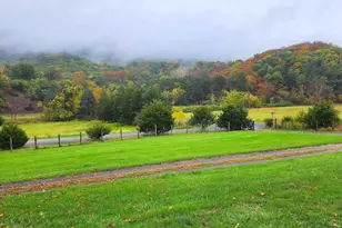 45 Cougar Hollow Rd, Romney, WV 26757 - Photo 54