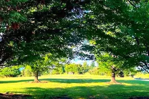 2362 Skyview Dr, Romney, WV 26757 - Photo 10