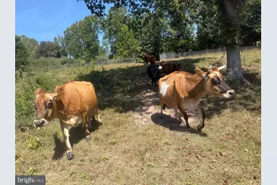 95 Brill Lane, Augusta, WV 26704 - Photo 10