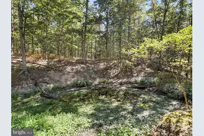 2370 Kerns School Road, Springfield, WV 26763 - Photo 12