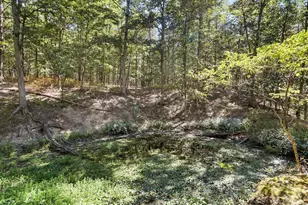 2370 Kerns School Rd, Springfield, WV 26763 - Photo 12