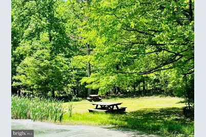 2370 Kerns School Road, Springfield, WV 26763 - Photo 44