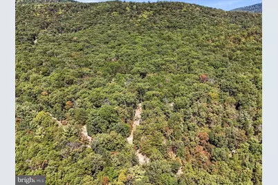 2370 Kerns School Road, Springfield, WV 26763 - Photo 34