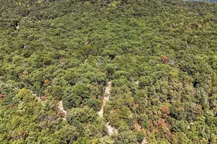 2370 Kerns School Rd, Springfield, WV 26763 - Photo 34