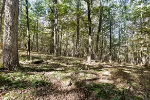 4478 Foxes Hollow Rd, Romney, WV 26757 - Photo 36