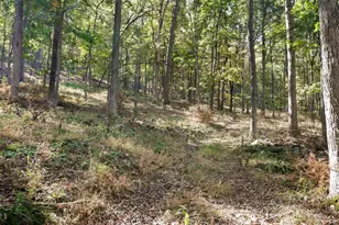 4478 Foxes Hollow Rd, Romney, WV 26757 - Photo 38