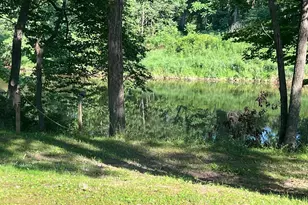 100 Bubbling Spring Rd, Capon Bridge, WV 26711 - Photo 22