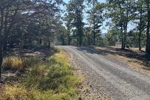 229 Carmel Ct, Purgitsville, WV 26852 - Photo 26