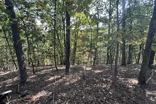 229 Carmel Ct, Purgitsville, WV 26852 - Photo 12