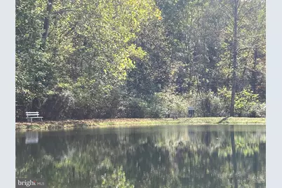 Lot 2 Old Mill Road, Capon Bridge, WV 26711 - Photo 40