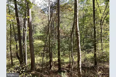 Lot 2 Old Mill Road, Capon Bridge, WV 26711 - Photo 18