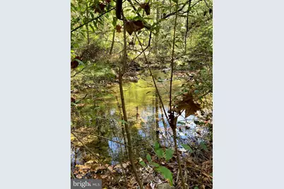 Lot 2 Old Mill Road, Capon Bridge, WV 26711 - Photo 2